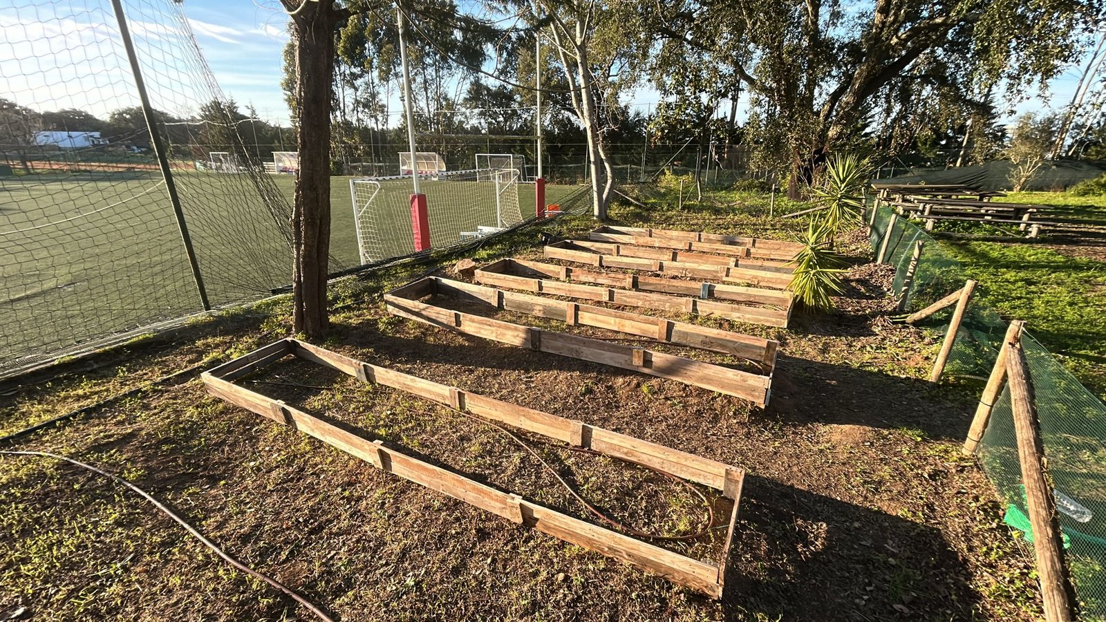 Evolução da Horta Pedagógica / Progress of our Pedagogical Garden image